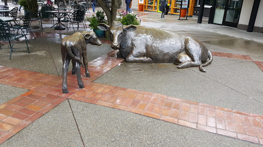 Computer Store «Apple University Village», reviews and photos, 2656 NE University Village St, Seattle, WA 98105, USA