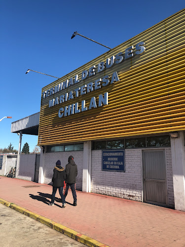 Terminal de Buses Maria Teresa - Chillán - Servicio de taxis