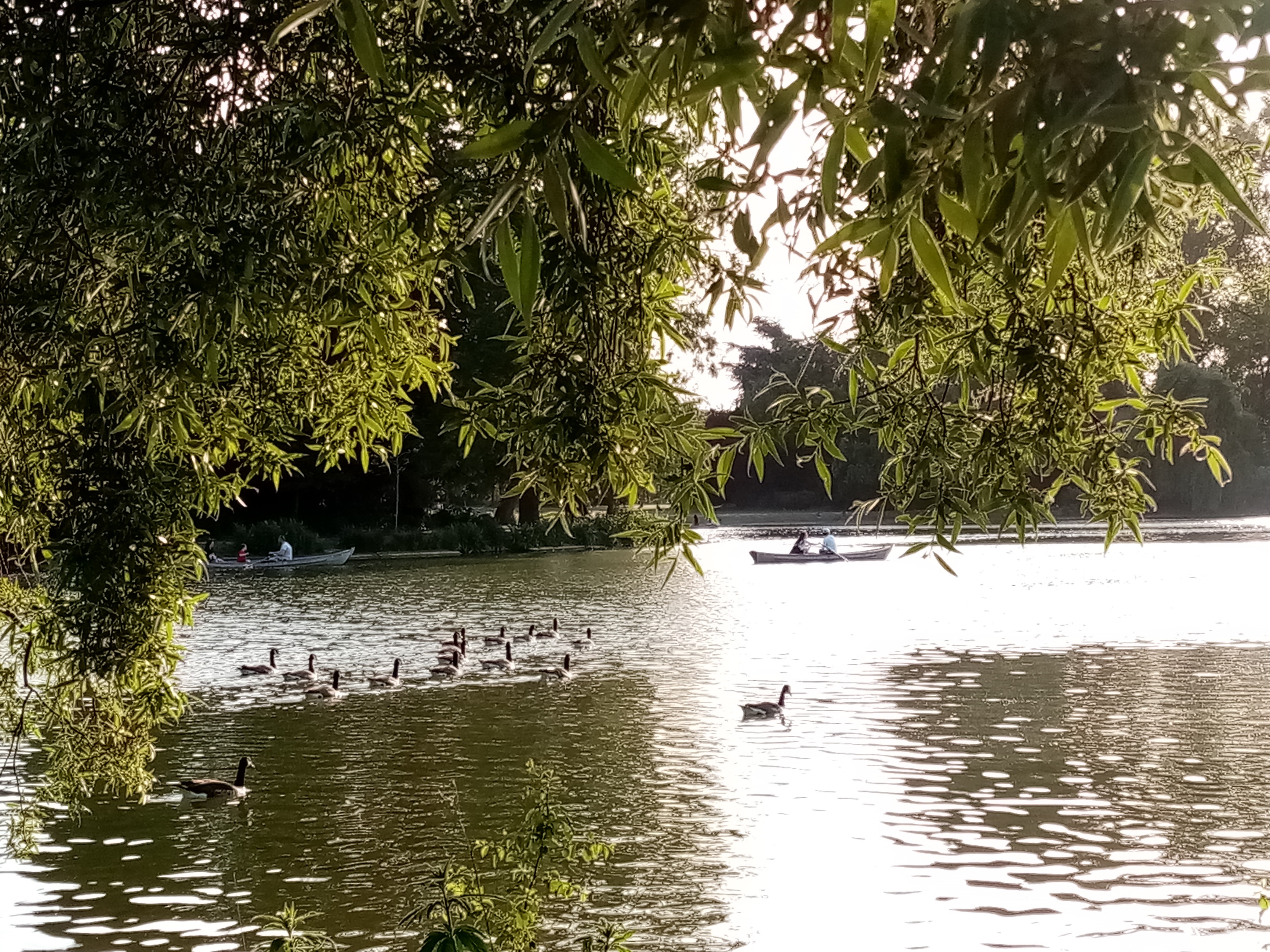 Photo n° 12 de l'avis de Sylvie.a fait le 11/10/2021 à 06:16