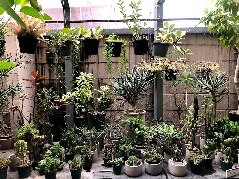 Buzz Green 東京都渋谷区恵比寿 店舗 グルコミ