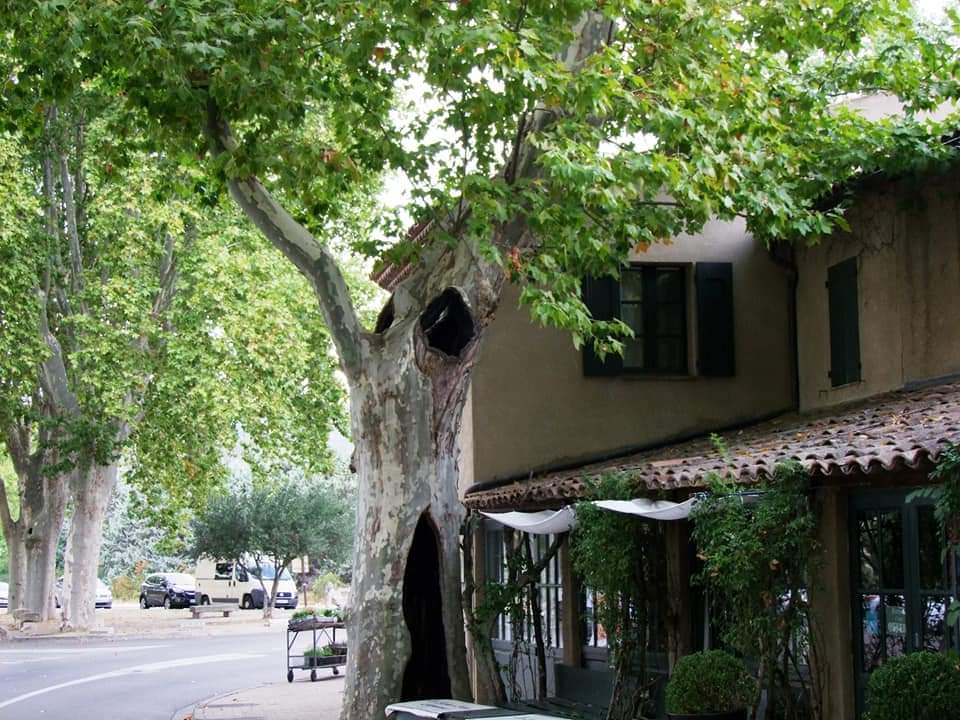 Photo n° 17 de l'avis de stephane.a fait le 09/09/2020 à 19:39