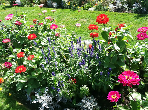 Garden «Lynch Park Rose Garden», reviews and photos, Lynch Park, Beverly, MA 01915, USA