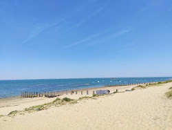 Clere beach'in fotoğrafı vahşi alan