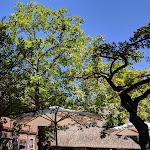 Photo n°2 de l'avis de Pascal.o fait le 06/07/2018 à 16:12 sur le  Spieker Ammerländer Bauernhaus à Bad Zwischenahn