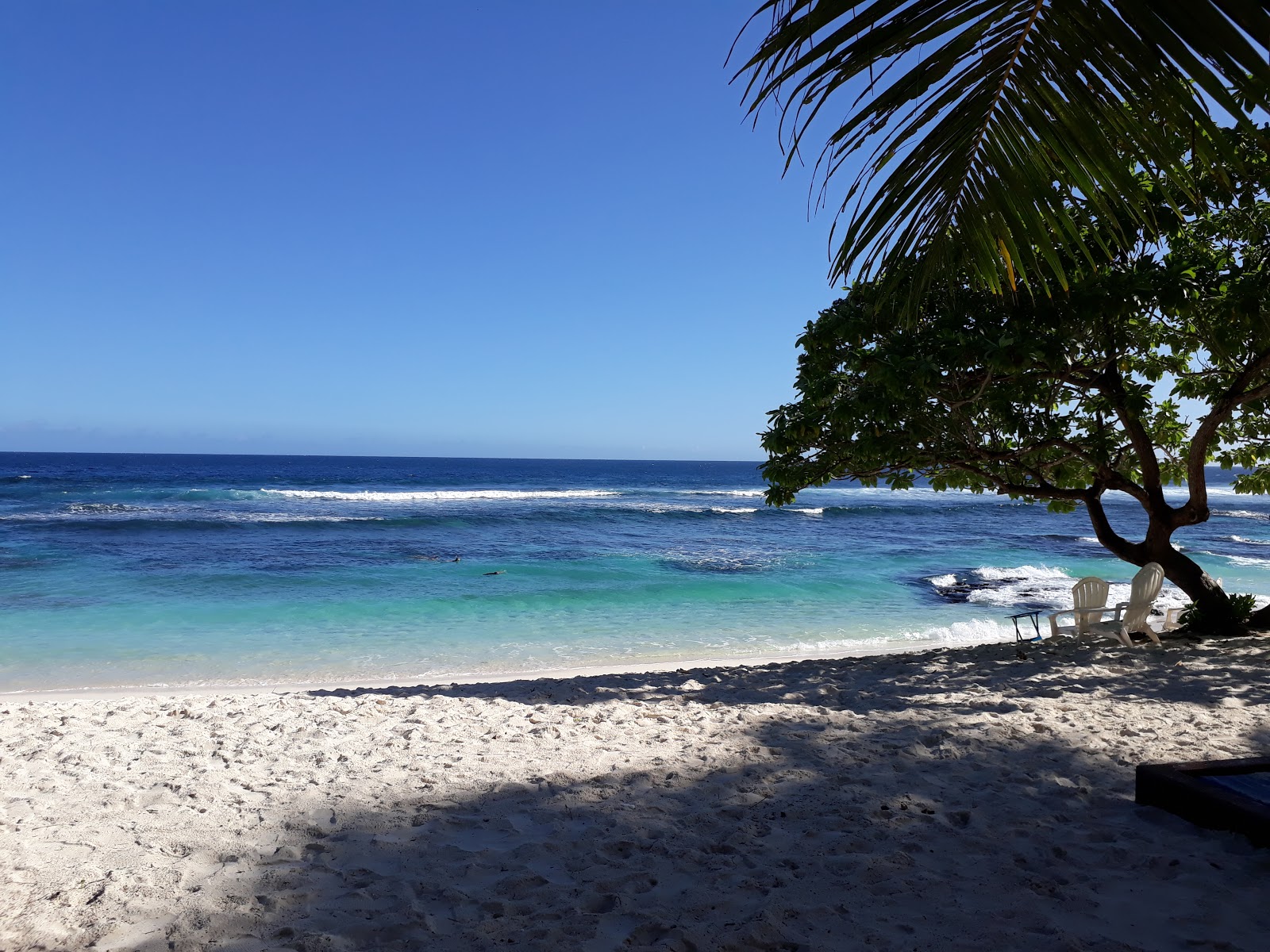 Return to Paradise Plajı'in fotoğrafı - rahatlamayı sevenler arasında popüler bir yer