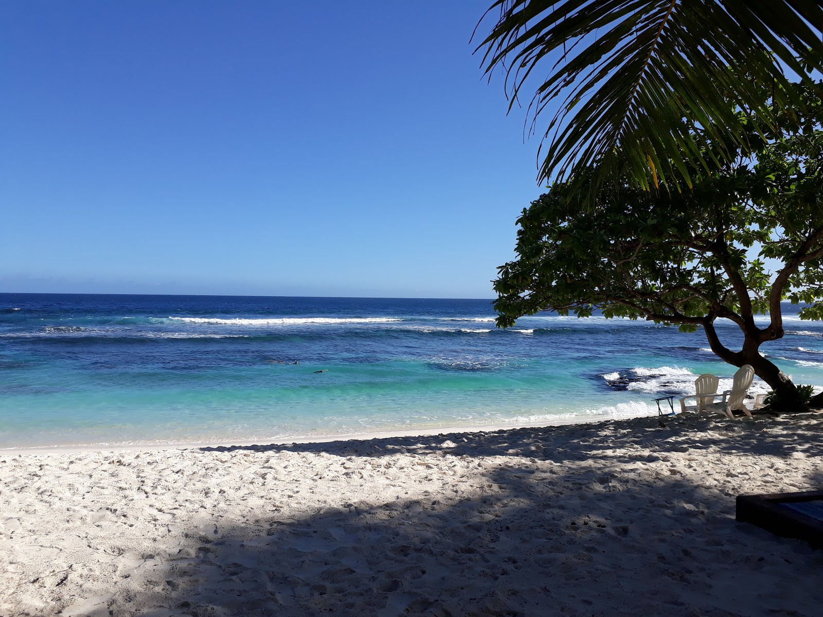 Return to Paradise Beach photo #7