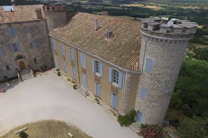 Château de Saint-Martin-de-Pallières image