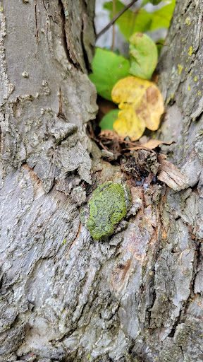 Park «Hillside Park», reviews and photos, 146 Lake Iliff Rd, Newton, NJ 07860, USA