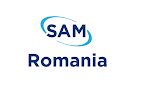Site-urile primesc licență de navigare Bucharest