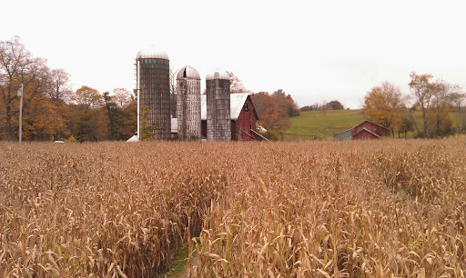Farm «Wright Family Farm», reviews and photos, 329 Kings Hwy, Warwick, NY 10990, USA
