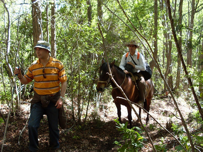 Opinii despre Camping Sol y Sombra în Colbún - Camping