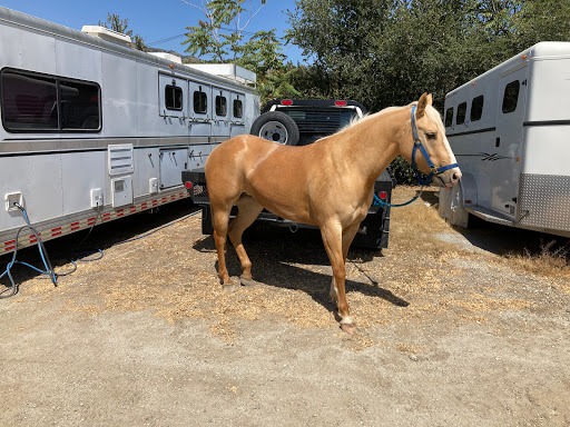 Storage Facility «Mt. Olive Self-Storage», reviews and photos, 1500 Crestfield Dr, Duarte, CA 91010, USA