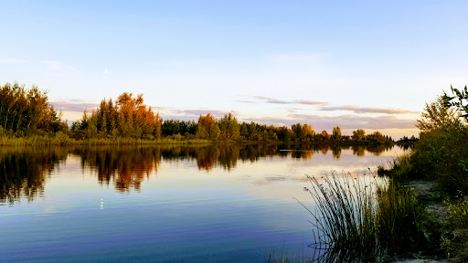 Fishing pond Edmonton