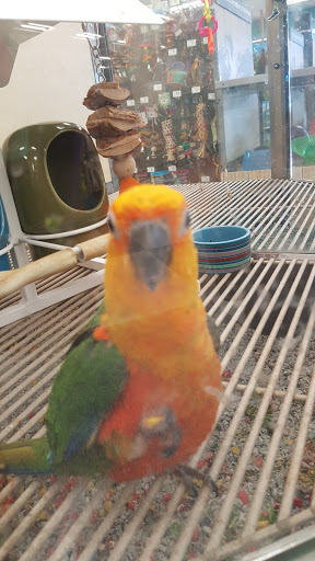 Pet Supply Store «Petco Animal Supplies», reviews and photos, 513 S Mason Rd, Katy, TX 77450, USA