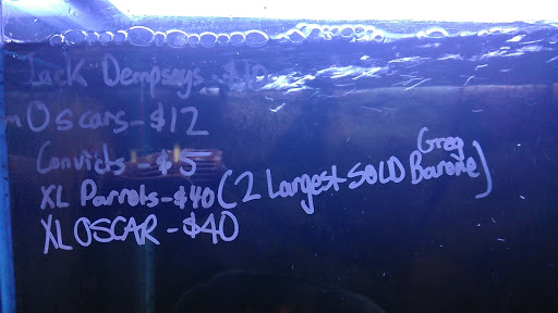 Tropical Fish Store «Fish Finatics», reviews and photos, 7037 Manlius Center Rd, East Syracuse, NY 13057, USA