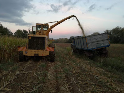 Azienda Agricola Pantano produzione di latte Via di Mezzo, snc, 67069 Tagliacozzo AQ, Italia