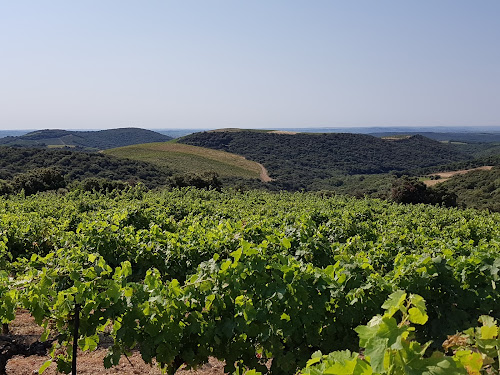 Domaine de Monthélys à Laurens