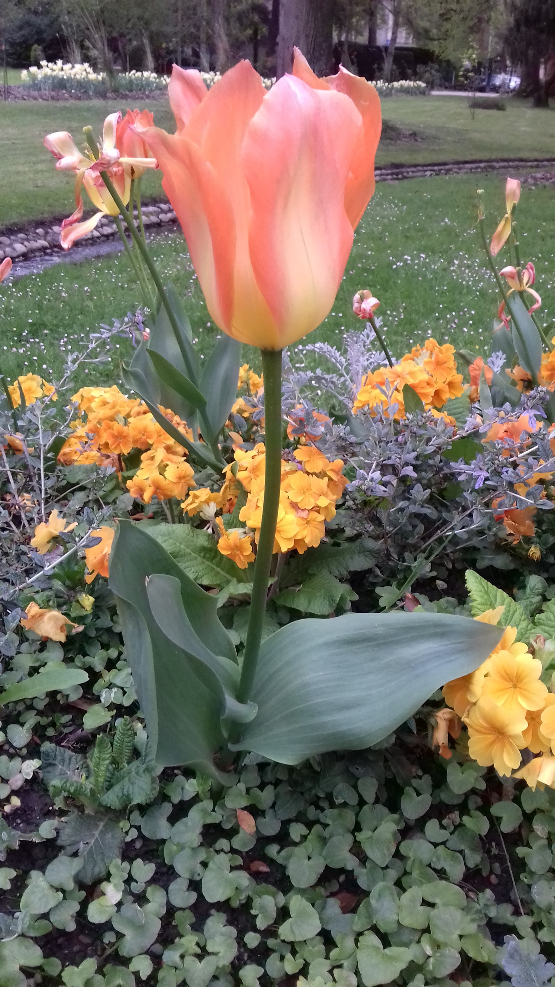 Photo n° 2 de l'avis de veronique.a fait le 12/04/2019 à 05:39