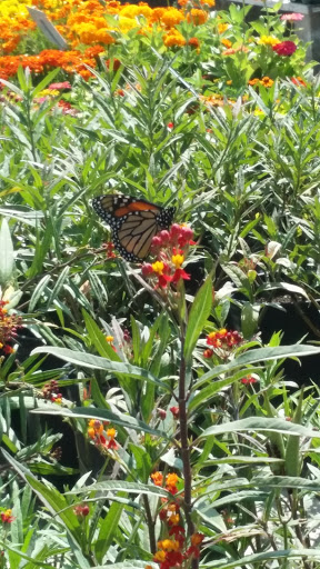 Gift Shop «Blue Hills Nursery & Gift Shop», reviews and photos, 16440 Whittier Blvd, Whittier, CA 90603, USA