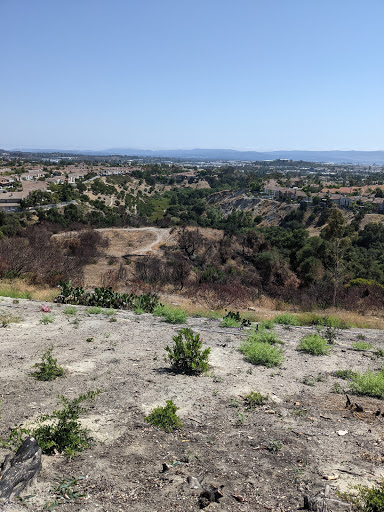 Park «Borrego Canyon Overlook Park», reviews and photos, 21 Viaggio Ln, Foothill Ranch, CA 92610, USA