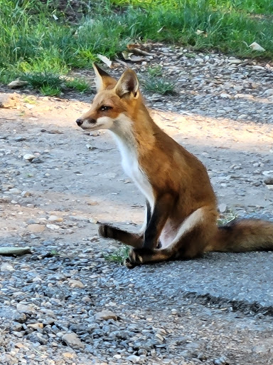 Golf Course «Gunpowder Golf Course», reviews and photos, 14300 Old Gunpowder Rd, Laurel, MD 20707, USA