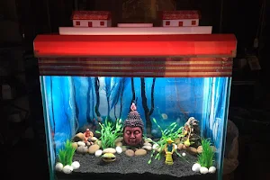 SANIYA FISH AQUARIUM image