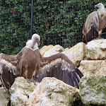 Photo n°1 de l'avis de Michele.u fait le 04/09/2023 à 05:16 sur le  Parco Zoo Falconara Srl à Falconara Marittima