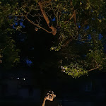 Photo n°13 de l'avis de Matthias.i fait le 21/08/2021 à 19:16 sur le  Liebharts Sudhaus Gasthausbrauerei Detmold à Detmold