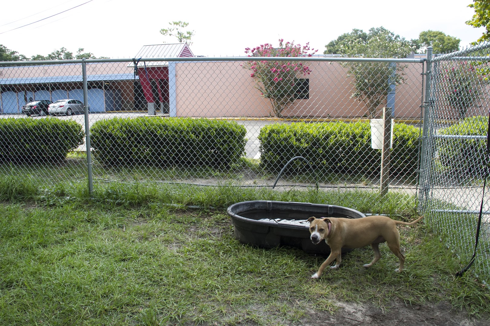 Humane Society of North Central Florida - North Campus