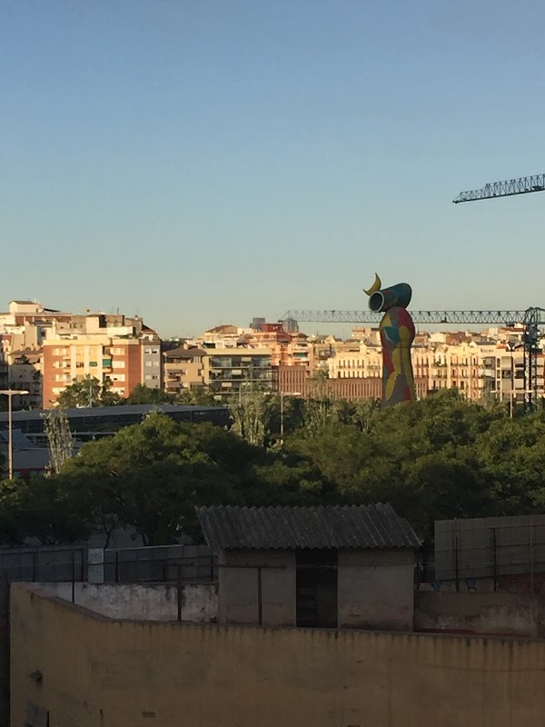 Imagen de Zumzeig Cinecooperativa (10 de 15)