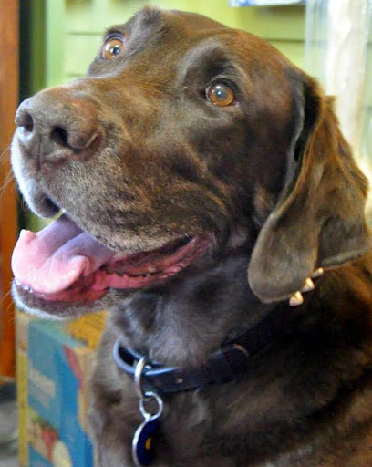 Pet Store «Second Nature», reviews and photos, 17 NW 1st St, Gresham, OR 97030, USA