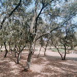 Photo n° 4 de l'avis de Abdillah.S fait le 11/08/2023 à 07:54 pour Aire de Sorgues à Sorgues