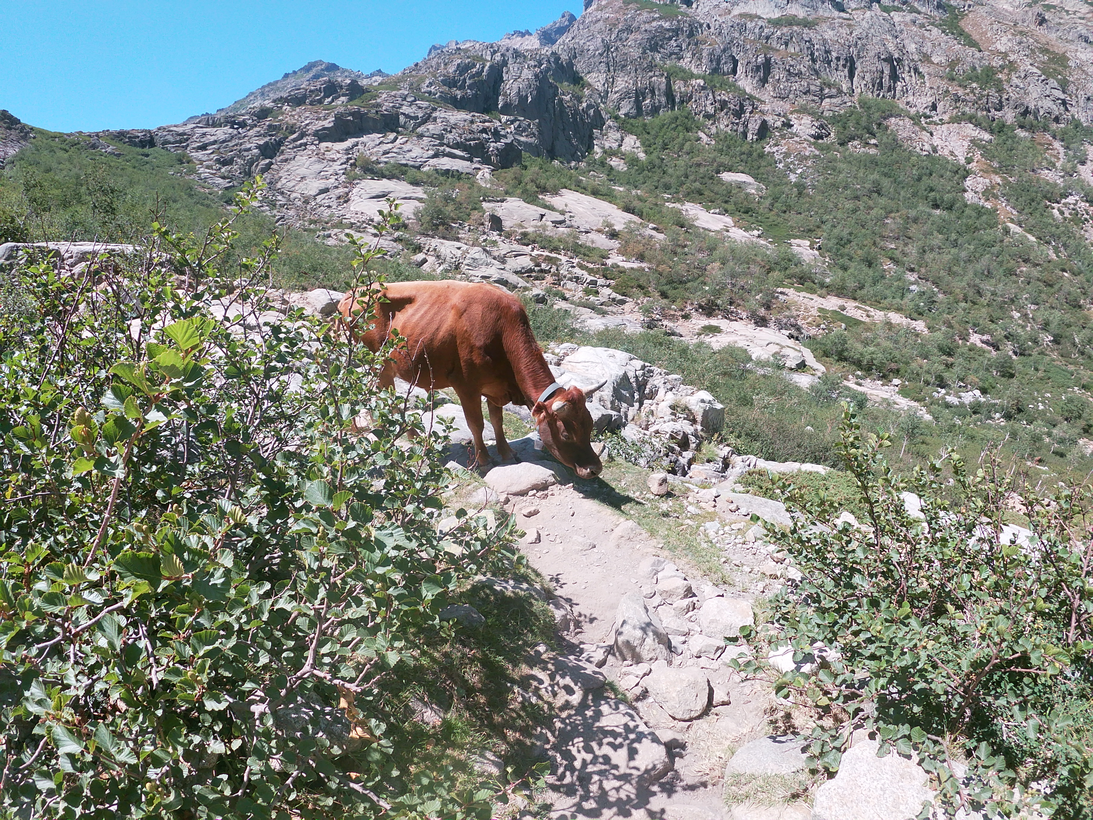 Photo n° 1 de l'avis de ATN.e fait le 29/07/2022 à 21:17