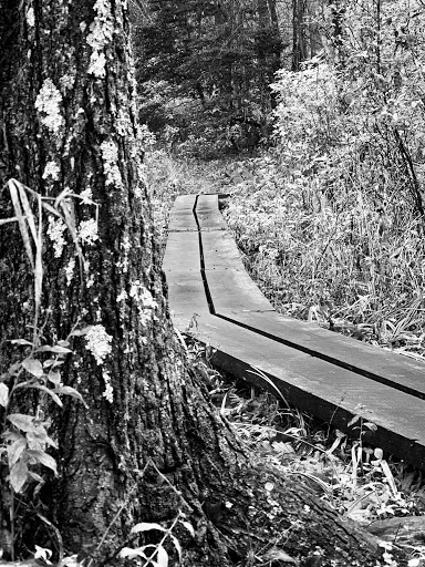 State Park «Nasketucket Bay State Reservation», reviews and photos, Brandt Island Rd,, Mattapoisett, MA 02739, USA