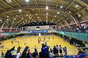 Suwon Badminton Gymnasium image