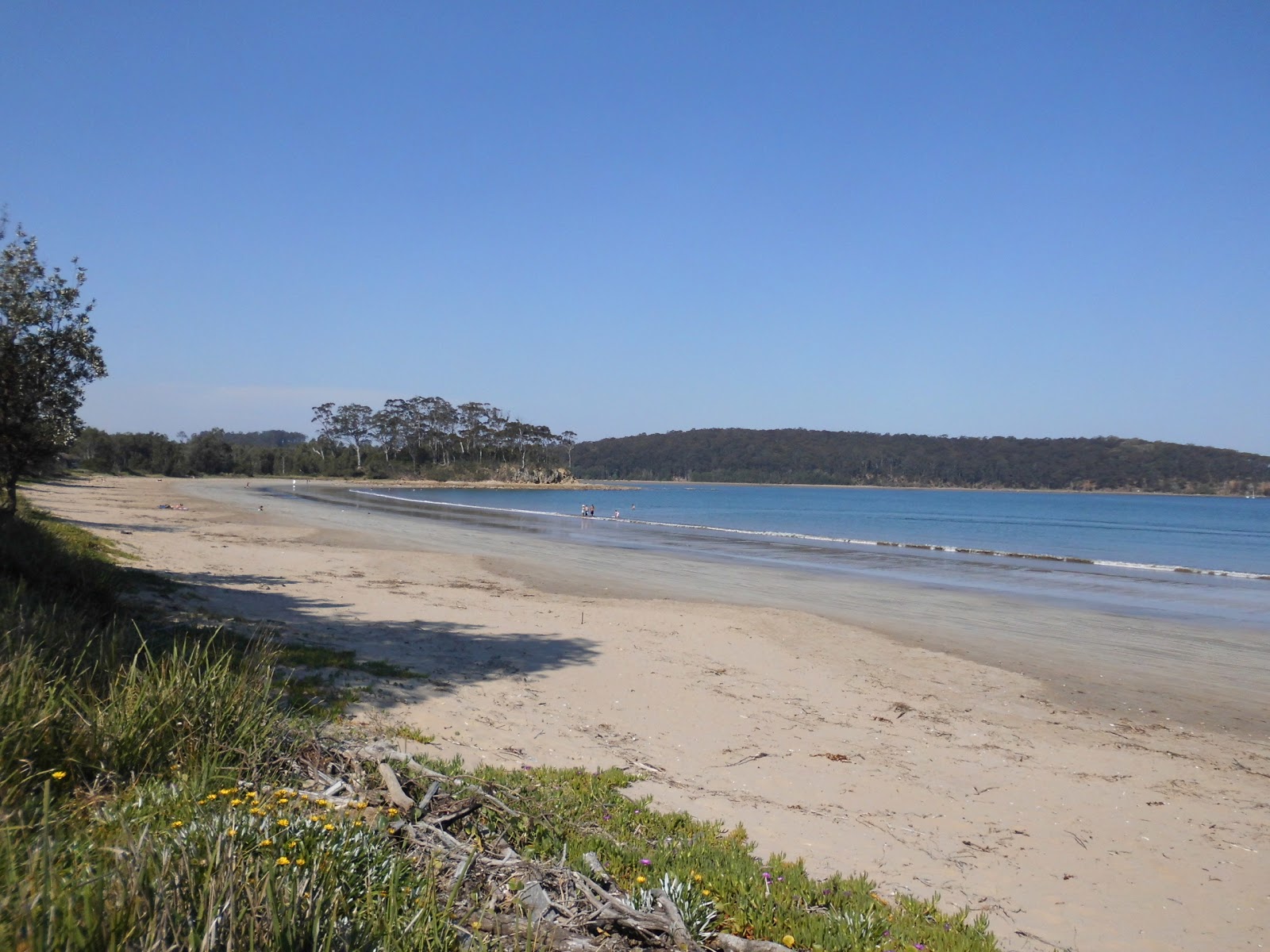 Surfside Beach'in fotoğrafı düz ve uzun ile birlikte