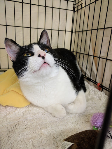 Pet Supply Store «Petco Animal Supplies», reviews and photos, 8500 Henry Ave #10, Philadelphia, PA 19128, USA