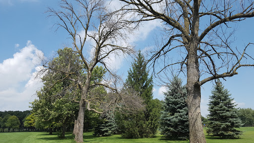 Banquet Hall «White Pines Country Club», reviews and photos, 500 W Jefferson St, Bensenville, IL 60106, USA