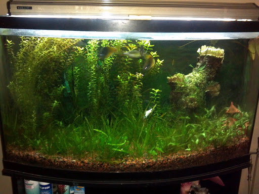 Park «Autumn Ridge Park», reviews and photos, NW Fieldstone Dr, Beaverton, OR 97006, USA