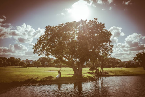 Hotel «The Diplomat Golf & Tennis Club», reviews and photos, 501 Diplomat Pkwy, Hallandale Beach, FL 33009, USA