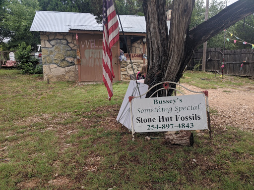 Gift Shop «Stone Hut Fossil Shop», reviews and photos, 1184 FM 205, Glen Rose, TX 76043, USA