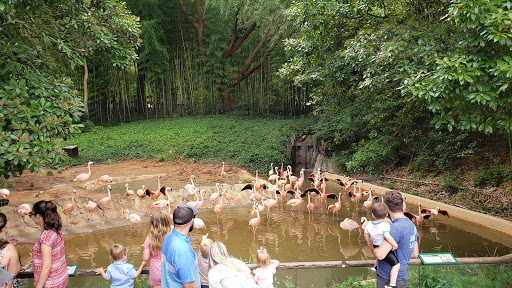 Zoo «Zoo Atlanta», reviews and photos, 800 Cherokee Ave SE, Atlanta, GA 30315, USA