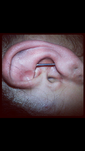 Explore dumbo tattoo ideas, creative tattoo ideas in Bakersfield, available at Bakersfield Tattoo & Piercing