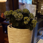 Photo n°5 de l'avis de Happy..i fait le 27/06/2019 à 12:52 sur le  Restaurant Café Casablanca à Konstanz