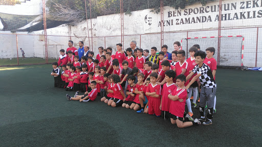 pamuk hatip toplamak mutlu hali saha bilsanatolye com