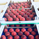 Photo n°4 de l'avis de Luca.o fait le 02/07/2018 à 20:34 sur le  Le Vinaie Enoteca In Monleale à Monleale