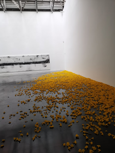 Art Gallery «David Zwirner Gallery», reviews and photos, 525 W 19th St, New York, NY 10011, USA