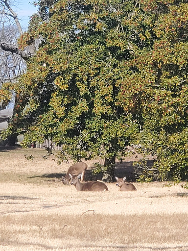National Park «Gateway National Recreation Area», reviews and photos, 26 Hudson Rd, Highlands, NJ 07732, USA