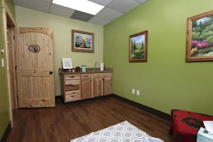 Wasatch Hollow Animal Hospital image