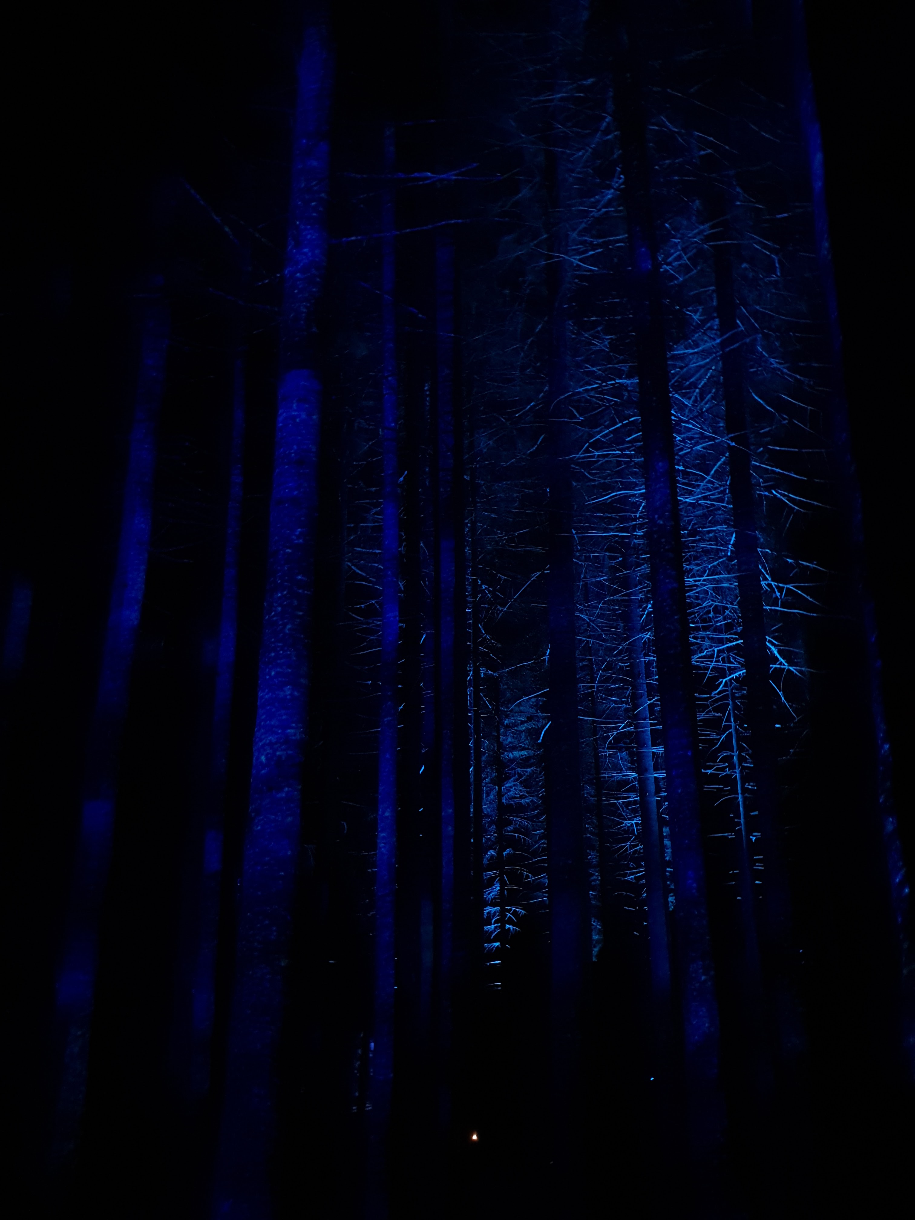 Photo n° 3 de l'avis de Trenaux.i fait le 09/09/2020 à 19:24